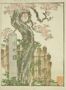 小町桜（こまちざくら） 絵本「絵本東あそび」より 作： Katsushika Hokusai