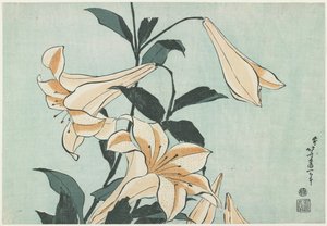ユリ、c。 1832 作： Katsushika Hokusai