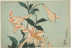 ユリ、無題の大きな花のシリーズから 作： Katsushika Hokusai