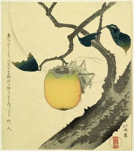 月、柿とグラスホッパー、1807年（色の木版画）