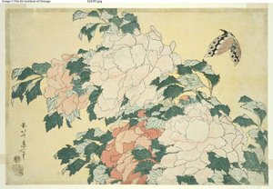 牡丹と蝶、無題の大輪シリーズより 作： Katsushika Hokusai