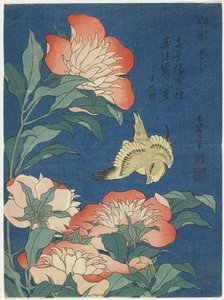 牡丹とカナリア、c。 1833 作： Katsushika Hokusai