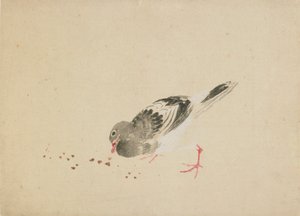 ピジョン、18 世紀後半から 19 世紀初頭。 作： Katsushika Hokusai