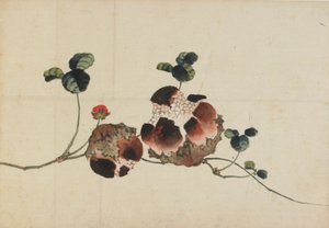 ザクロ、18 世紀後半から 19 世紀初頭。 作： Katsushika Hokusai