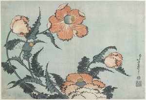ケシ、c。 1832 作： Katsushika Hokusai
