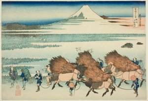 リセ パッ知恵ｓ あｔ おの 員 するが Ｐロヴィんせ （寸酒 おの 神殿）、 ｆろｍ テェ セリエｓ ”ティｒｔｙー氏ｘ ヴィエｗｓ おｆ も運ｔ フジ （富岳 傘寿六桂）”