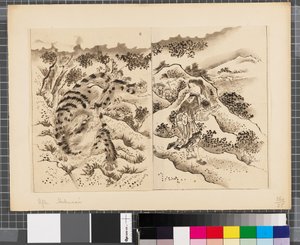 日韓戦の情景 18世紀末～19世紀前半 紙本墨画 作： Katsushika Hokusai
