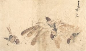 スズメ、カリフォルニア州。 1825年。 作： Katsushika Hokusai