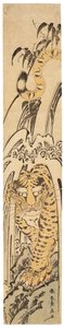 Takishita no tora (Tigre sob uma cachoeira), c.1780 (impressão em xilogravura) 作： Katsushika Hokusai