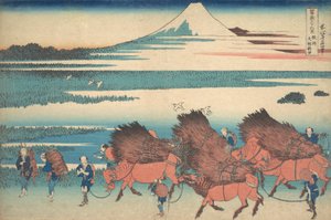 駿河国大野の新田 駿州大野新田 三三… 1920年頃 1830-32。