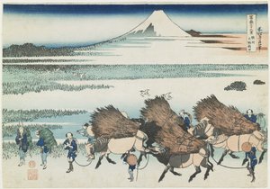 1831-1834駿河地方のO_noの水田