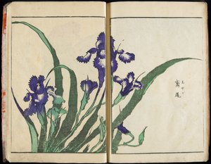 「精神を伝え、物事の姿を明らかにする：北斎の絵画の庭」第1巻 完結 作： Katsushika Hokusai