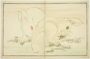 北斎写実画譜 二兎 作： Katsushika Hokusai