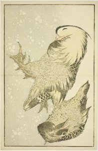 北斎写生画譜 二羽の水鳥