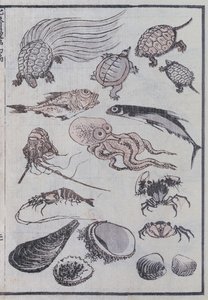 マンガからの海中の生き物（カラー木版画） 作： Katsushika Hokusai