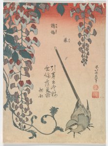 セキレイと藤、江戸時代、1834年（色木版画） 作： Katsushika Hokusai