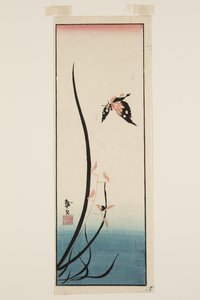 蝶と草（カラー木版画 作： Katsushika II (fl.1820 50) Taito