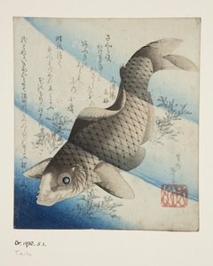 鯉の水揚げ（カラー木版画