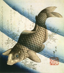 水草の間の鯉の泳ぎ、1832年頃（インク）