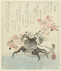 蟹と桜 作： Katsushika Taito II