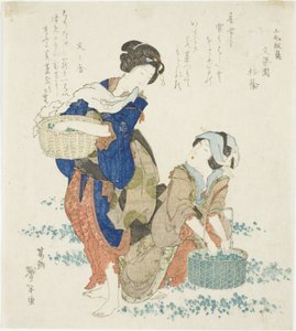 ハーブを集める 2 人の女性 作： Katsushika Taito II