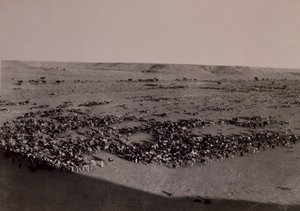 20 世紀のイタリア トルコ戦争、リビアの Brak に進む (白黒写真) 作： Alec Hunter