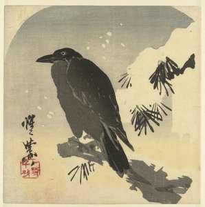 雪に覆われた松の枝のカラス