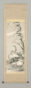 19世紀半ばの月のある風景の中のガチョウ（掛軸：紙にインクと色） 作： Kazan Watanabe