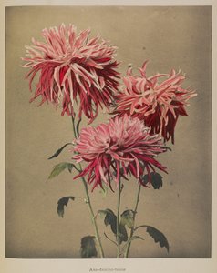 朝妻船 作： Kazumasa Ogawa