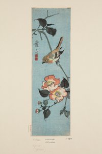 スズメとツバキ（カラー木版画 作： Keisai Eisen