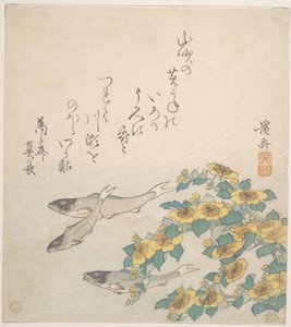 黄色い花と泳ぐ魚 作： 圭西鉄