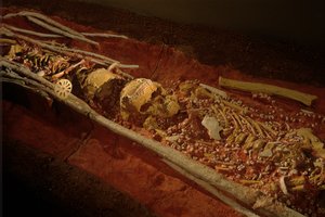 考古学; ヒト科; 人類; ホモ・サピエンス; 人類の進化; 氷河期; 2000年（写真） 作： Kenneth Garrett