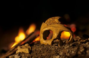 DOH；13万年前のネアンデルタール人、女性の頭骨、クラピナ3、クラピナ洞窟、バルカン半島