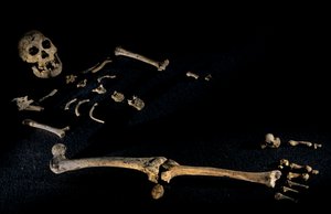 2008年、ドマニシで発見された身長4フィート7インチの複合骨格（写真）。 作： Kenneth Garrett