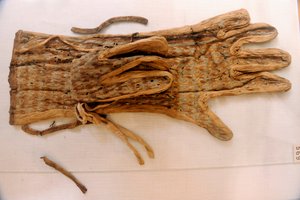 ツタンカーメン王; エジプト; エジプト博物館; カイロ; リネン手袋; JE62675; 新王国時代; mm78..., 2005年（写真） 作： Kenneth Garrett
