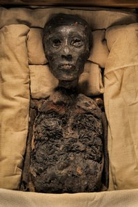 ツタンカーメン王のミイラ, mm7864; 第18王朝; 新王国時代; エジプト博物館; カイロ; エジプト..., 2005 (写真) 作： Kenneth Garrett
