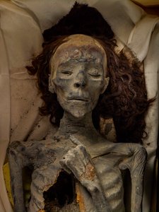 アメンヘテプ3世の妻で、ツターの祖母ティエのミイラ。第18王朝；新しい王...2005年（写真）