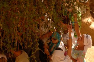 聖カタリナ修道院でモーゼの「燃える柴」の枝に触れる観光客（2006年）（写真）。