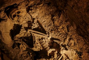 エジプト、ルクソール近郊、KV5の第2室から発見された成人男性の骸骨。 作： Kenneth Garrett