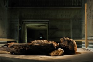 mm7864; 第18王朝; 新王国時代; エジプト; DNA; サンプル; ミイラ、不明、2005年（写真） 作： Kenneth Garrett