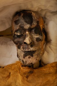 mm7864; 第18王朝; 新王国時代; エジプト; エジプト博物館; カイロ; ミイラ; 谷の..., 2005年（写真） 作： Kenneth Garrett
