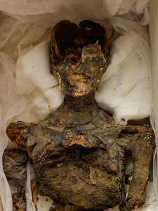 mm7864; 第18王朝; 新王国時代; エジプト; エジプト博物館; カイロ; ミイラ; 谷の... 2009年（写真） 作： Kenneth Garrett