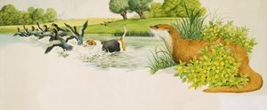 アヒルを追う犬を見つめるカワウソ 作： ケネス・リリー