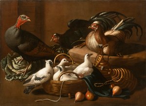 キッチンの家禽、17 世紀半ば.. 作： Kerckhoven