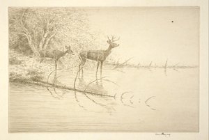  作： カー・イービー