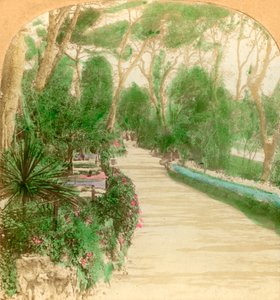 プロムナード、アラメダガーデン、ジブラルタルの岩、1896年。