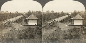 アフリカとアクターのステレオグラフ14枚のグループ、1850年代～1910年代。