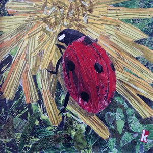 菊の上のてんとう虫 作： Kirstie Adamson