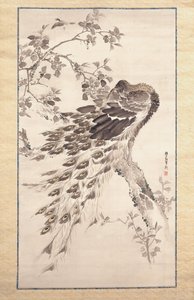 チェリーアップルツリーの孔雀（シルクにインクと色）