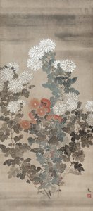 菊、1600 年代半ば。